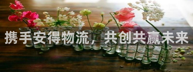 tp钱包怎么创建：携手安得物流，共创