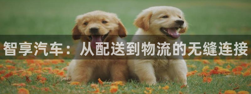 tp钱包eth怎么买：智享汽车：从配