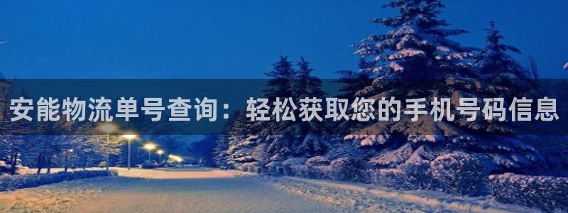 tp钱包 usdt：安能物流单号查询
