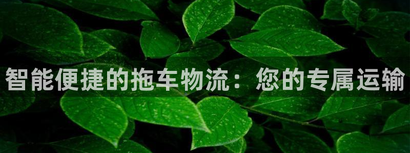 tp钱包网址打不开用什么加速器：智能