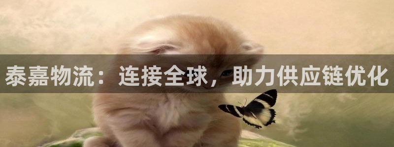 tp钱包查询：泰嘉物流：连接全球，助