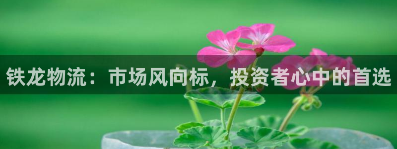 在tp钱包中进不了去中心化交易所如何解决