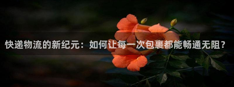 tp钱包官网：快递物流的新纪元：如何