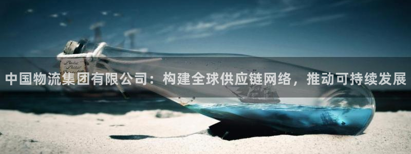 tp钱包提币错误：中国物流集团有限公