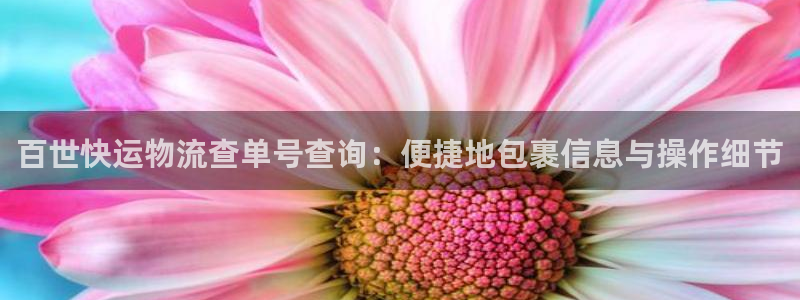 tp钱包不能下载：百世快运物流查单号