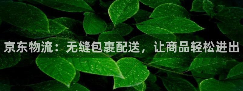 TP钱包CORE提币网址：京东物流：