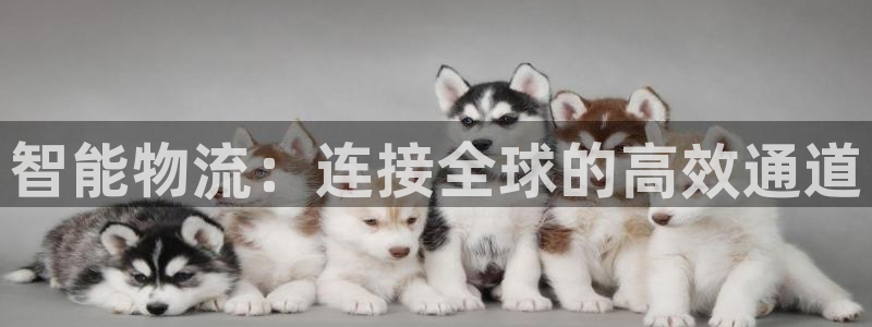 tp钱包怎么用的：智能物流：连接全球