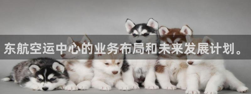 tp钱包链接钱包：东航空运中心的业务