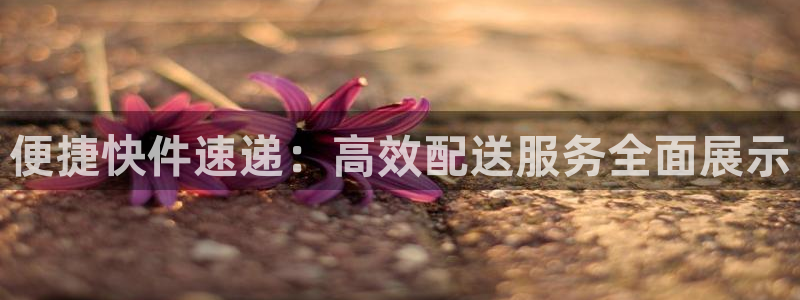 tp钱包怎么把币转到ok交易所