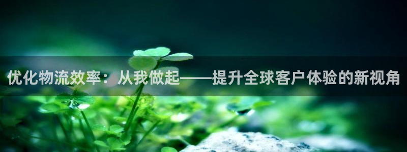 tp下载安装官方版：优化物流效率：从