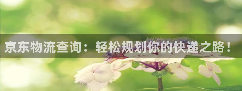 tp钱包扫码被盗报警：京东物流查询：
