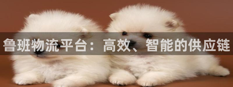utp区块链：鲁班物流平台：高效、智