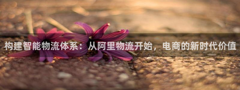 tp钱包怎么删除交易记录：构建智能物