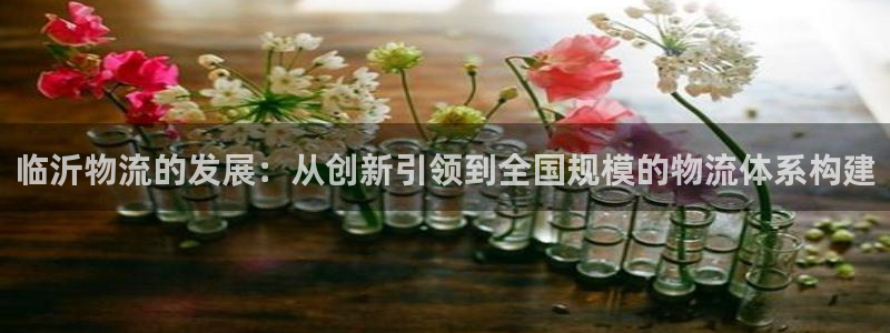 tp钱包登录会留下痕迹吗：临沂物流的