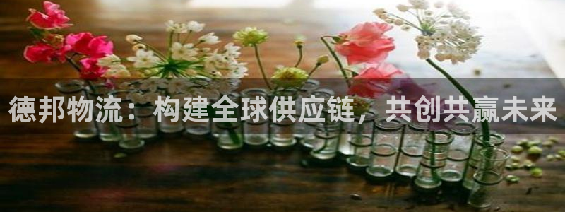 tp钱包挖矿安全吗：德邦物流：构建全