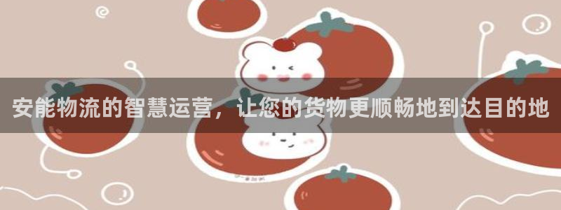 tp钱包有什么用：安能物流的智慧运营