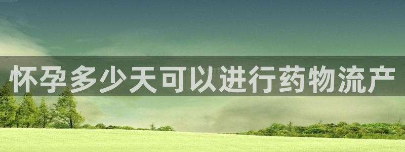 tp钱包查看交易记录