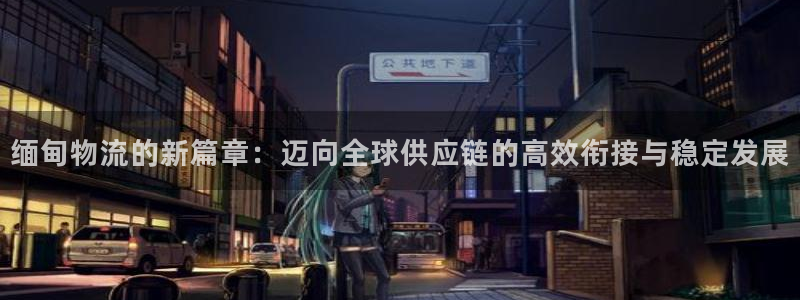 tp钱包里面的币怎么卖：缅甸物流的新