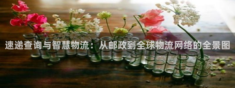 tp钱包苹果版安装教程：速递查询与智