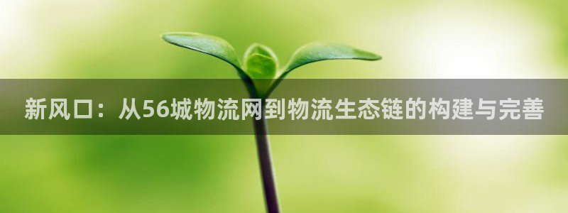 tp钱包怎么创建bsc