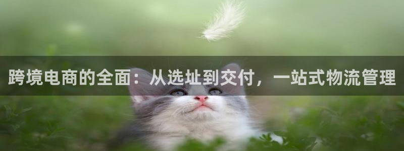 tp钱包存fil：跨境电商的全面：从