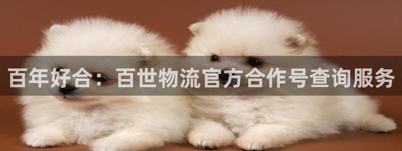 tp钱包怎么下载安全