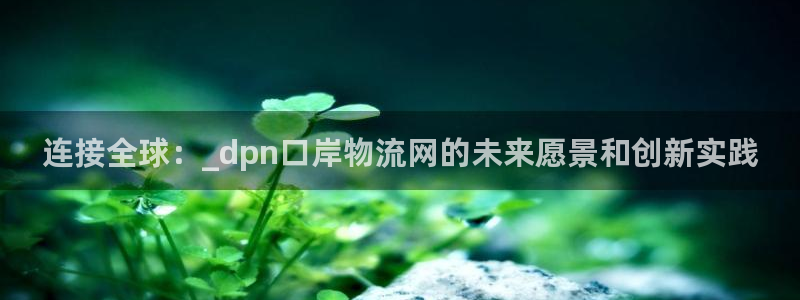 tp钱包能量不足：连接全球：_dpn