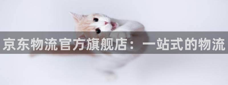 tp钱包 提币：京东物流官方旗舰店：