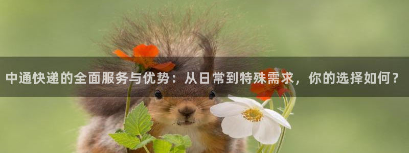 tp钱包支付密码忘记：中通快递的全面