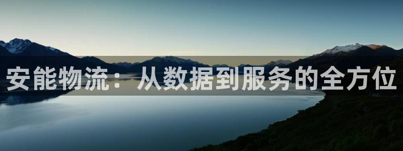 tp钱包买u教程：安能物流：从数据到