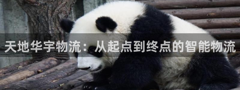 tp钱包安卓版下载最新版：天地华宇物