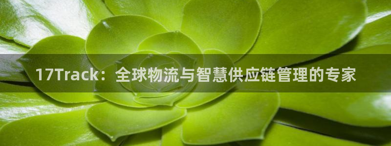 tp钱包密码怎么设置指纹：17Tra