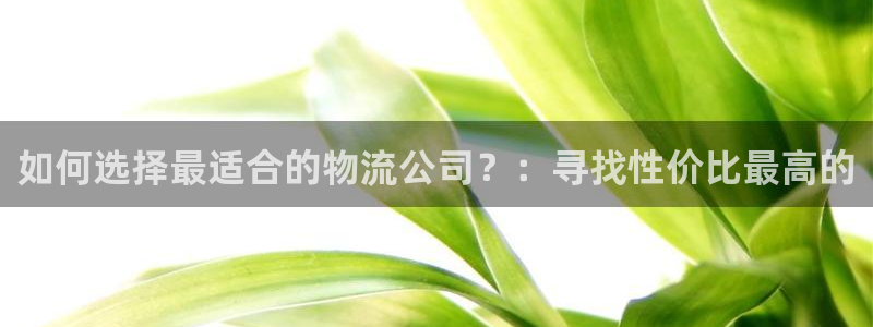 tp钱包打不开：如何选择最适合的物流