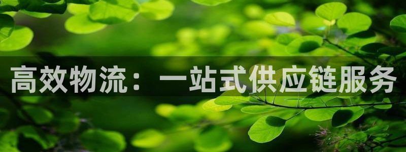 tp钱包下载app软件下载