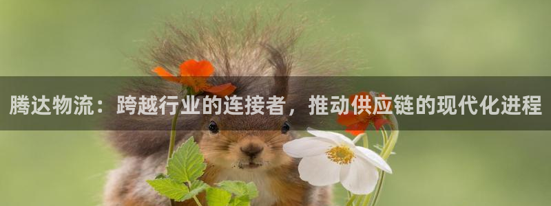 tp钱包app下载链接