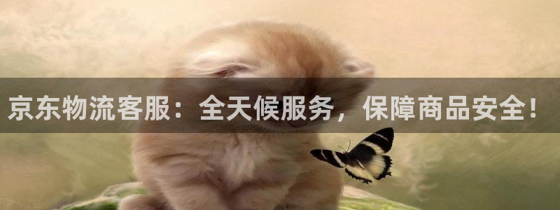 tp钱包怎么上币：京东物流客服：全天