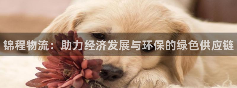tp钱包官网下载脚本之家：锦程物流：