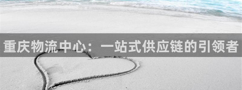 tp钱包官网客服：重庆物流中心：一站