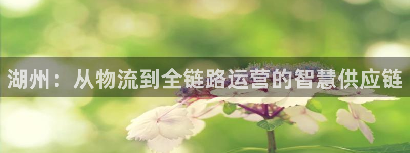 tp钱包可以提现人民币吗安全吗：湖州