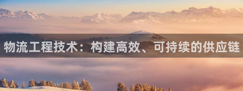 怎样创建tp钱包：物流工程技术：构建高效、可持续的供应链