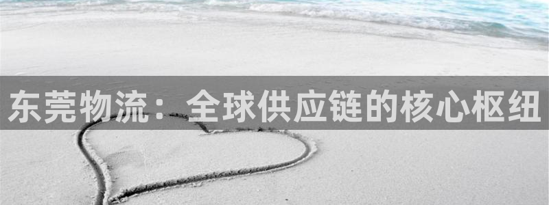 tp钱包资产怎么提现：东莞物流：全球