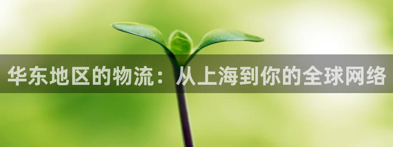 tp钱包买usdt链接：华东地区的物