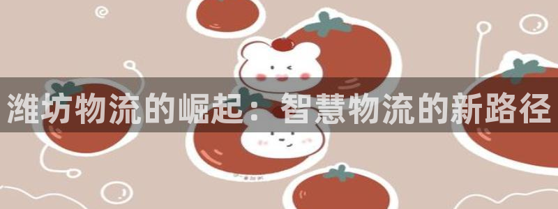 tp钱包raca：潍坊物流的崛起：智