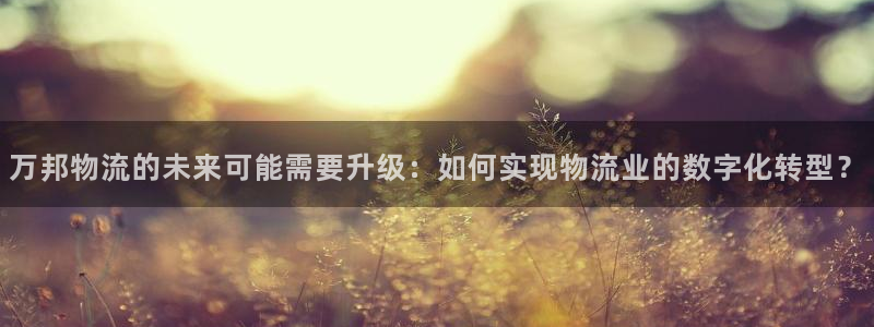 tplogincn.：万邦物流的未来