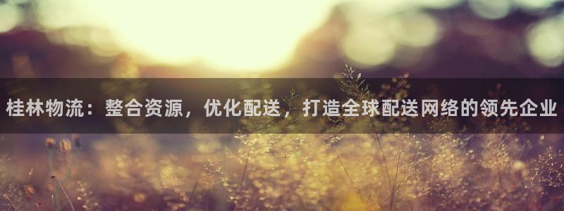 tp钱包 ios：桂林物流：整合资源