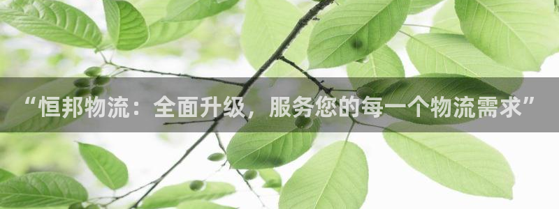 tp钱包官网苹果版：“恒邦物流：全面
