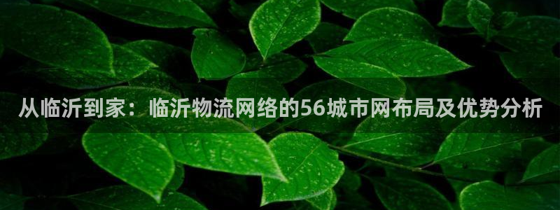 tp钱包官网版app正版：从临沂到家：临沂物流网络的56城市