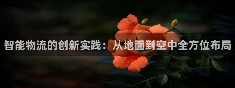 tp钱包error：智能物流的创新实