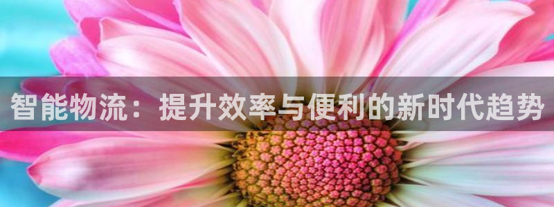 TP钱包安卓版下载教程：智能物流：提