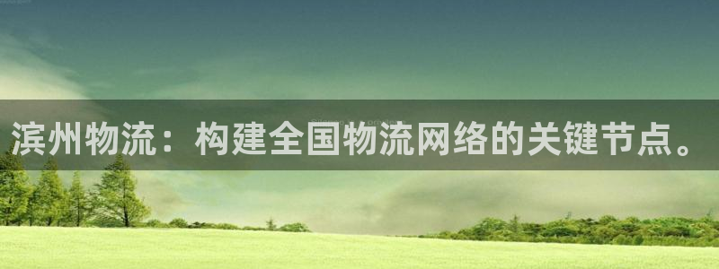 tp钱包下载官方免费：滨州物流：构建